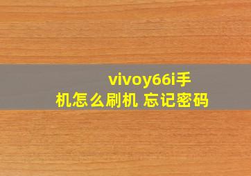 vivoy66i手机怎么刷机 忘记密码